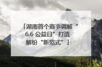 湖南首个商事调解“6.6 公益日”打造解纷“新范式”