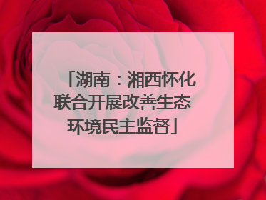 湖南：湘西怀化联合开展改善生态环境民主监督