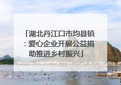 湖北丹江口市均县镇：爱心企业开展公益捐助推进乡村振兴