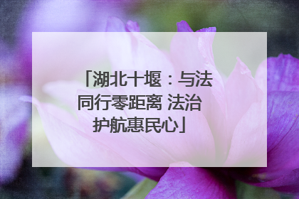 湖北十堰：与法同行零距离 法治护航惠民心