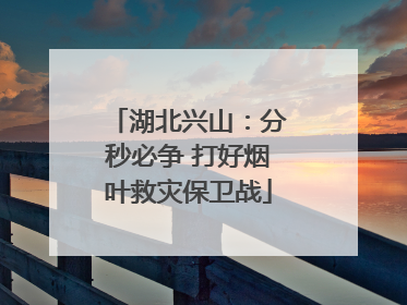 湖北兴山：分秒必争 打好烟叶救灾保卫战