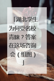 湖北学生为何受名校青睐？答案在这场咨询会（组图）
