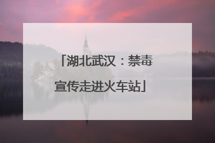 湖北武汉：禁毒宣传走进火车站