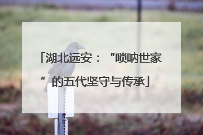 湖北远安：“唢呐世家”的五代坚守与传承