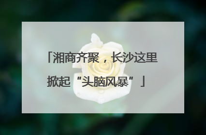 湘商齐聚，长沙这里掀起“头脑风暴”