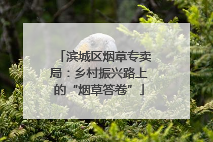 滨城区烟草专卖局：乡村振兴路上的“烟草答卷”