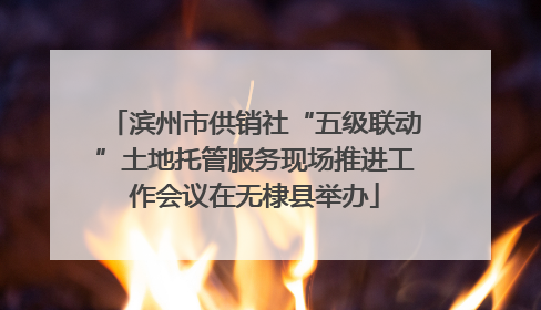 滨州市供销社“五级联动”土地托管服务现场推进工作会议在无棣县举办