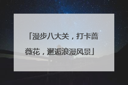 漫步八大关，打卡蔷薇花，邂逅浪漫风景