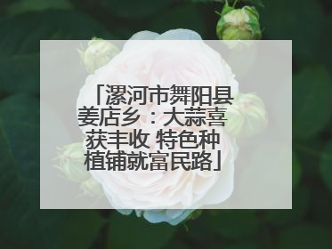 漯河市舞阳县姜店乡：大蒜喜获丰收 特色种植铺就富民路