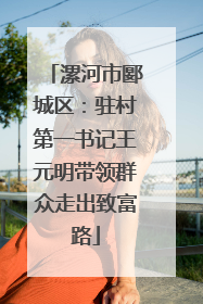 漯河市郾城区：驻村第一书记王元明带领群众走出致富路