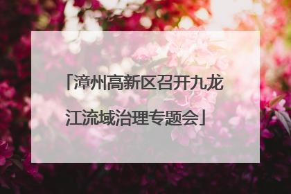 漳州高新区召开九龙江流域治理专题会