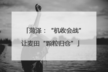 菏泽：“机收会战”让麦田“颗粒归仓”