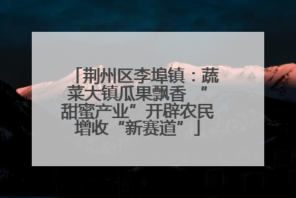 荆州区李埠镇：蔬菜大镇瓜果飘香 “甜蜜产业”开辟农民增收“新赛道”