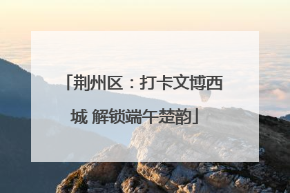 荆州区：打卡文博西城 解锁端午楚韵
