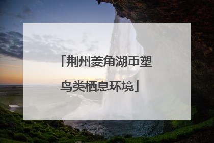 荆州菱角湖重塑鸟类栖息环境