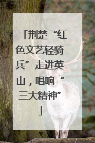 荆楚“红色文艺轻骑兵”走进英山，唱响“三大精神”