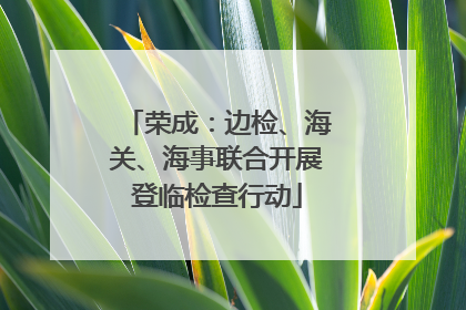 荣成：边检、海关、海事联合开展登临检查行动