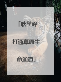 耿学峰：打通草原生命通道