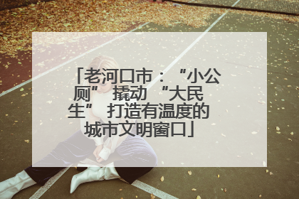 老河口市：“小公厕” 撬动 “大民生” 打造有温度的城市文明窗口