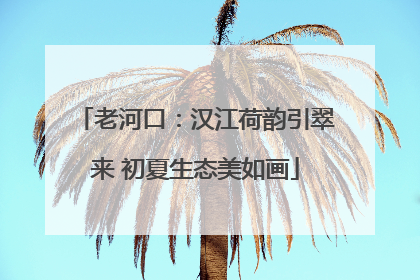 老河口：汉江荷韵引翠来 初夏生态美如画