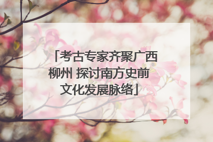 考古专家齐聚广西柳州 探讨南方史前文化发展脉络