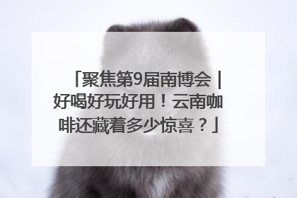 聚焦第9届南博会｜好喝好玩好用！云南咖啡还藏着多少惊喜？