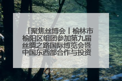 聚焦丝博会丨榆林市榆阳区组团参加第九届丝绸之路国际博览会暨中国东西部合作与投资贸易洽谈会