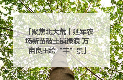 聚焦北大荒丨延军农场新苗破土铺绿浪 万亩良田绘“丰”景