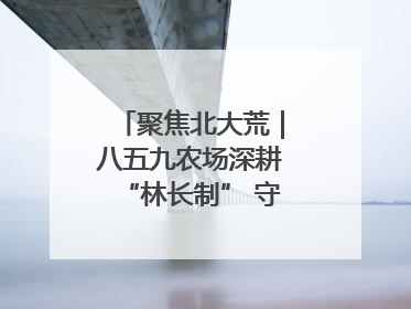 聚焦北大荒｜八五九农场深耕“林长制” 守护“生态绿”