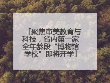 聚焦审美教育与科技，省内第一家全年龄段“博物馆学校”即将开学