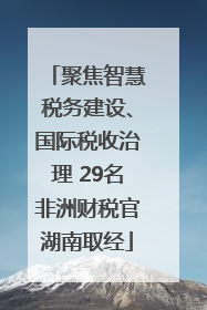 聚焦智慧税务建设、国际税收治理 29名非洲财税官湖南取经