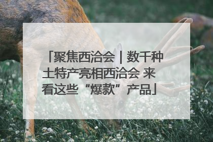 聚焦西洽会｜数千种土特产亮相西洽会 来看这些“爆款”产品