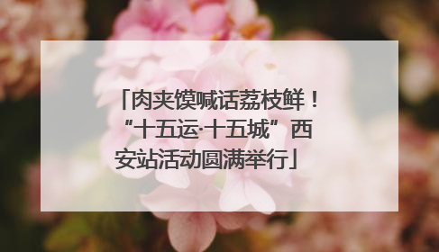 肉夹馍喊话荔枝鲜！“十五运·十五城”西安站活动圆满举行