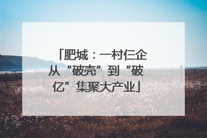 肥城：一村仨企从“破壳”到“破亿”集聚大产业
