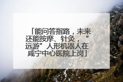 能问答指路，未来还能按摩、针灸，“远游”人形机器人在咸宁中心医院上岗