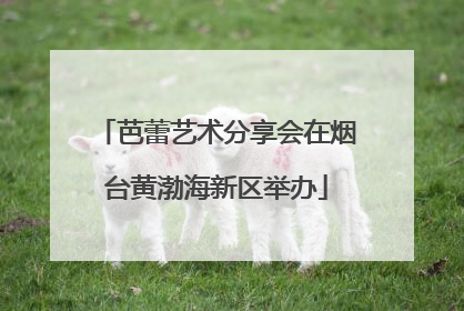 芭蕾艺术分享会在烟台黄渤海新区举办