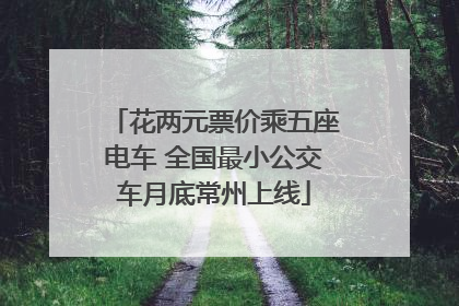 花两元票价乘五座电车 全国最小公交车月底常州上线