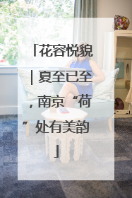 花容悦貌｜夏至已至，南京“荷”处有美韵