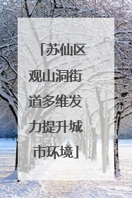 苏仙区观山洞街道多维发力提升城市环境