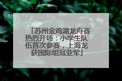 苏州金鸡湖龙舟赛热烈开场：小学生队伍首次参赛，上海龙获国际组冠亚军