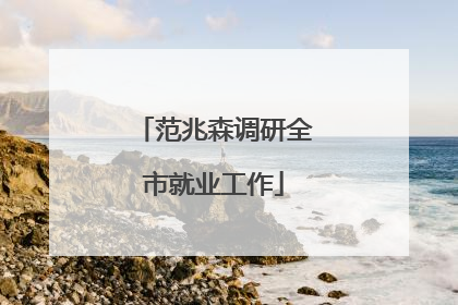 范兆森调研全市就业工作