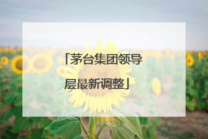 茅台集团领导层最新调整