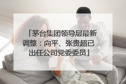 茅台集团领导层最新调整：向平、张贵超已出任公司党委委员