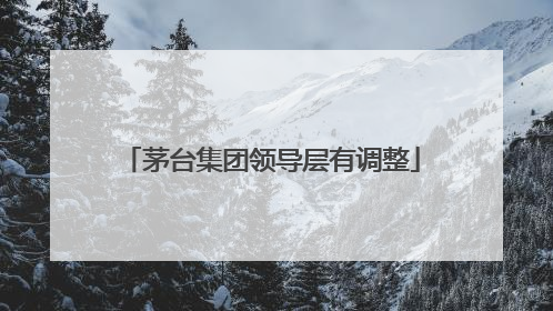 茅台集团领导层有调整