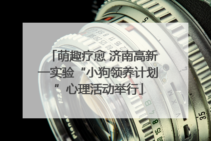 萌趣疗愈 济南高新一实验“小狗领养计划”心理活动举行