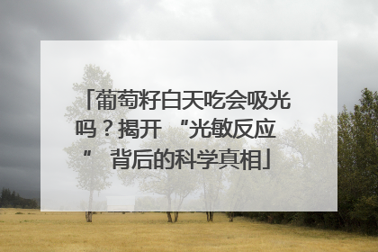 葡萄籽白天吃会吸光吗？揭开 “光敏反应” 背后的科学真相