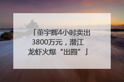 董宇辉4小时卖出3800万元，潜江龙虾火爆“出圈”