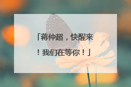 蒋仲超，快醒来！我们在等你！