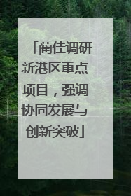 蔺佳调研新港区重点项目，强调协同发展与创新突破