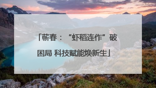 蕲春：“虾稻连作”破困局 科技赋能焕新生
